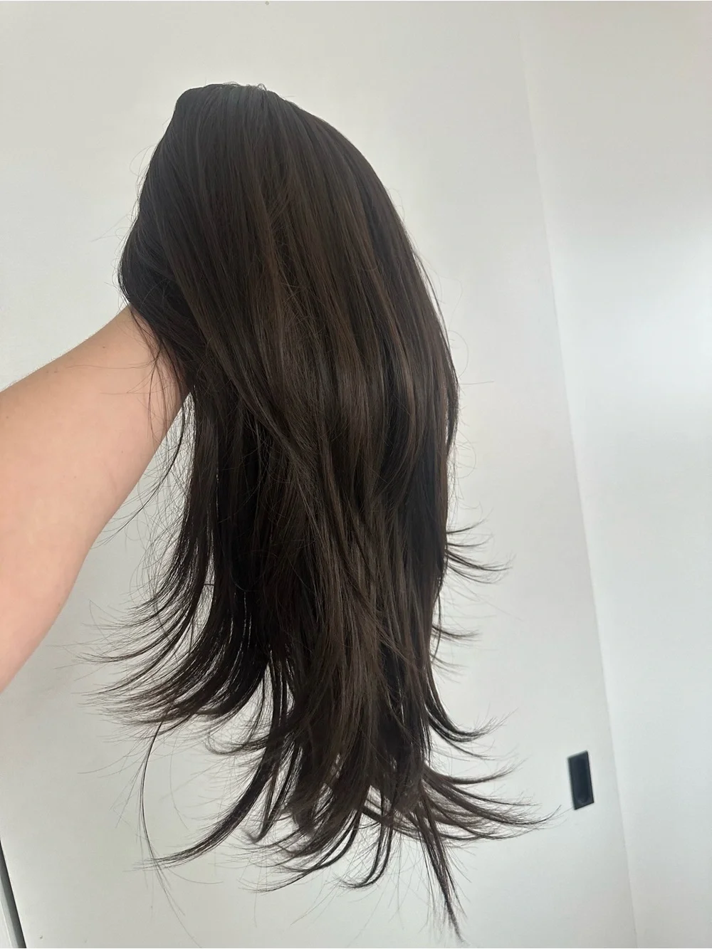 Women's Dark Brown Long Layered Wig - Natural Look NWT